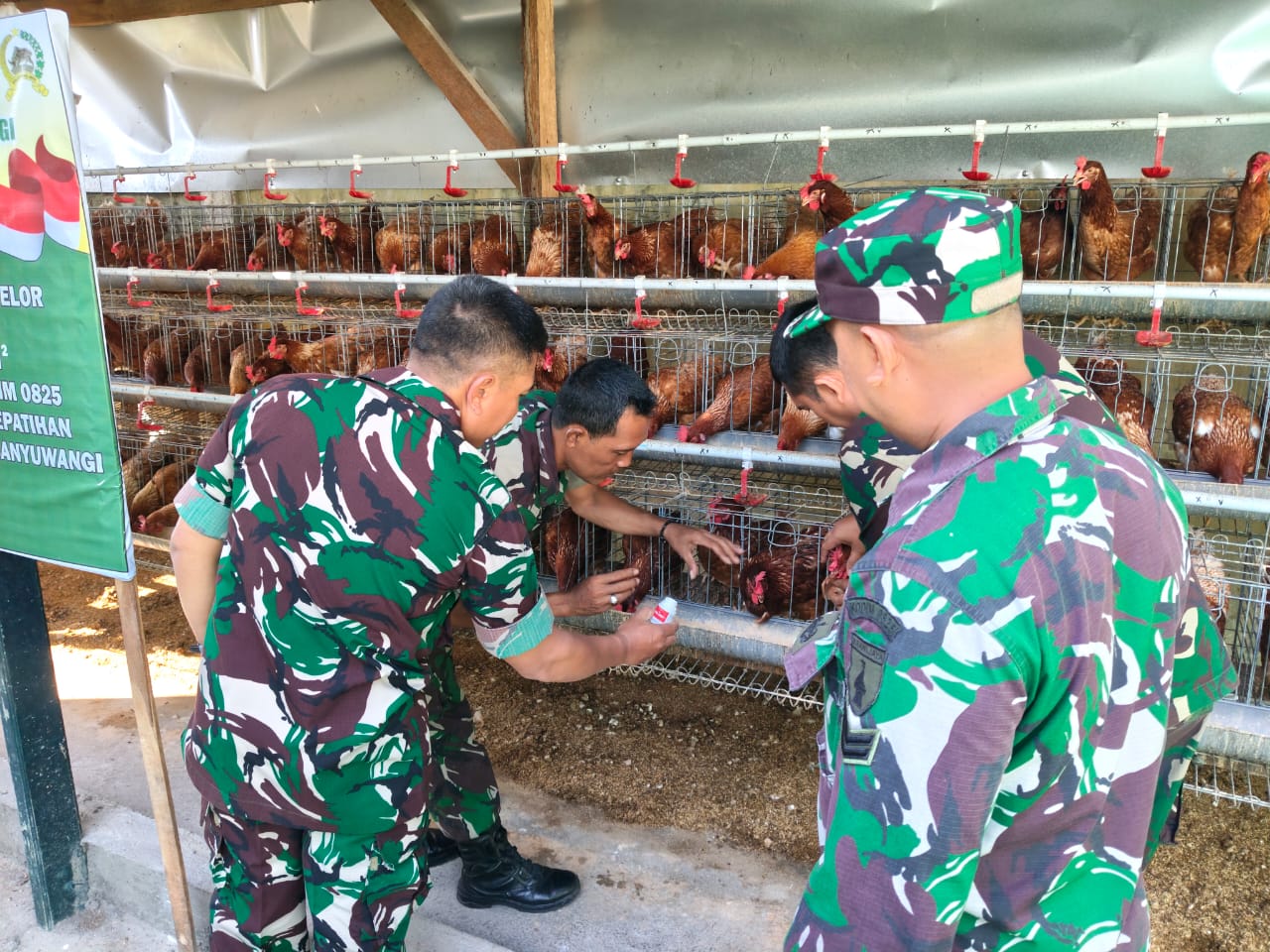 Benteng Pangan Banyuwangi, Kodim 0825 Kokohkan Pertahanan Bangsa di Era Digital
