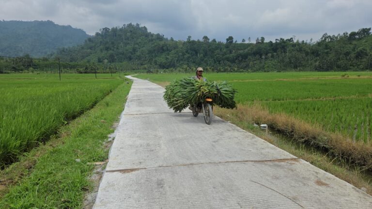 Program TNI Manunggal Membangun Desa (TMMD) ke-126 Kodim 0818/Malang-Batu terus memberikan manfaat nyata bagi masyarakat pedesaan. Salah satu hasil kerja keras Satgas TMMD bersama warga adalah pembangunan rabat beton di jalan usaha tani Dusun Sukomaju, Desa Lebakharjo, Kecamatan Ampelgading.
