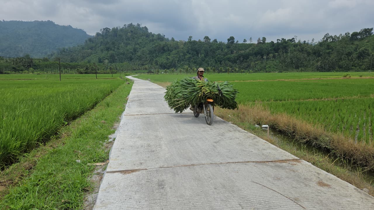Program TNI Manunggal Membangun Desa (TMMD) ke-126 Kodim 0818/Malang-Batu terus memberikan manfaat nyata bagi masyarakat pedesaan. Salah satu hasil kerja keras Satgas TMMD bersama warga adalah pembangunan rabat beton di jalan usaha tani Dusun Sukomaju, Desa Lebakharjo, Kecamatan Ampelgading.