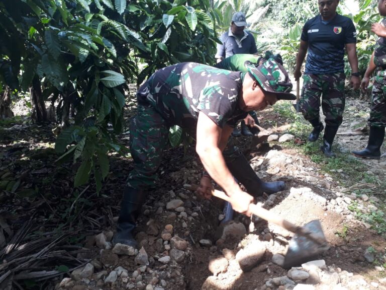 https://nusantaraprimamil01.online/satgas-tmmd-126-lebakharjo-kejar-target-pembuatan-drainase-bersama-warga/