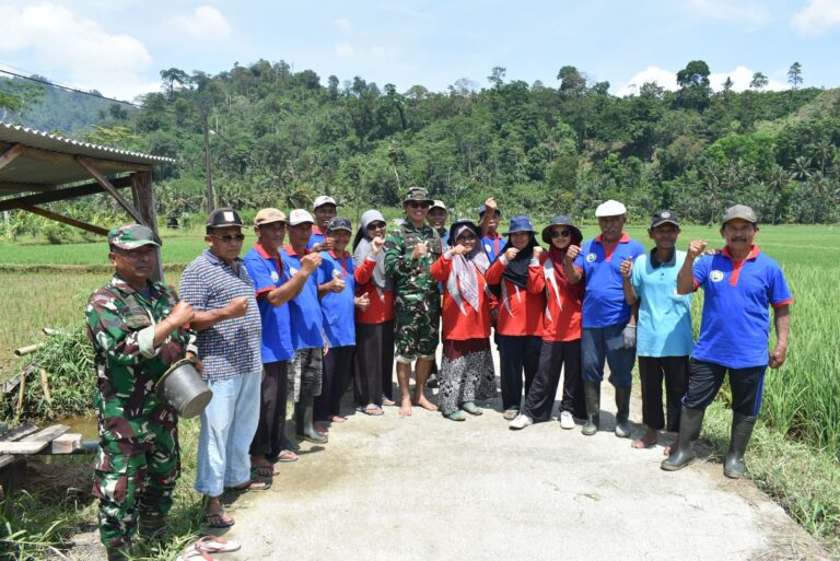 Momentum penting dalam memperkuat sinergi antara TNI dan masyarakat. Dandim 0818/Malang-Batu, Letkol Czi Bayu Nugroho, sebagai Dansatgas TMMD Ke-126, memimpin langsung pelaksanaan pemupukan padi bersama kelompok tani di Desa Lebakharjo Kecamatan Ampelgading Kabupaten Malang.