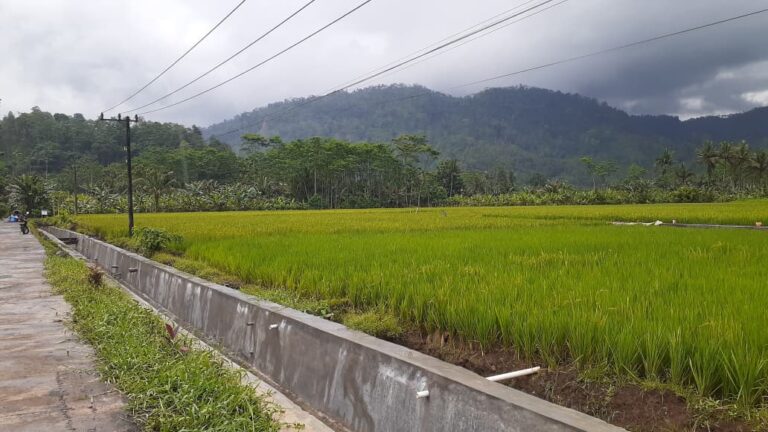 Program TNI Manunggal Membangun Desa (TMMD) ke-126 Kodim 0818/Malang-Batu kembali menunjukkan hasil nyata dalam meningkatkan kesejahteraan masyarakat pedesaan. Salah satu sasaran fisik utama, yakni pekerjaan peningkatan saluran irigasi di Dusun Krajan II, Desa Lebakharjo, Kecamatan Ampelgading,Kabupaten Malang