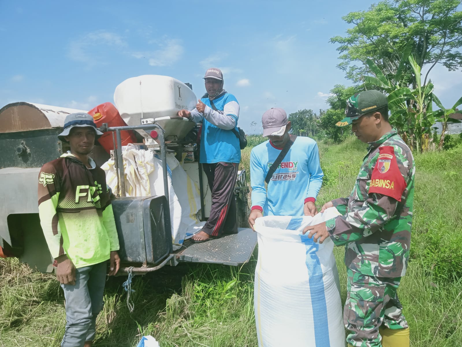 Wujud Nyata Sertu Didik Budi Prasetyo Babinsa Kelurahan Sobo Koramil 0825/01 Banyuwangi Kawal Panen Padi di Wilayah Binaan