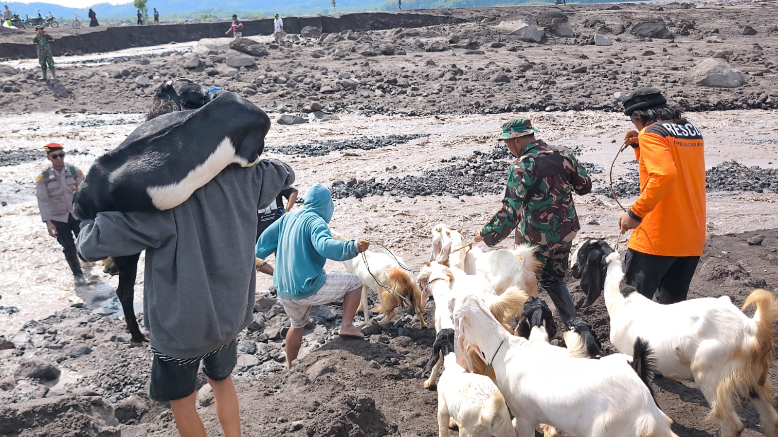 ersonel Kodim 0821/Lumajang Bantu Evakuasi Barang Berharga Warga Terdampak Banjir Lahar Dingin Semeru