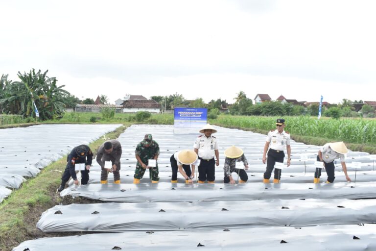 KEGIATAN PANEN RAYA TANAMAN PADI TAHUN 2026 DI LAHAN SAE LAPAS KELAS IIA BANYUWANGI
