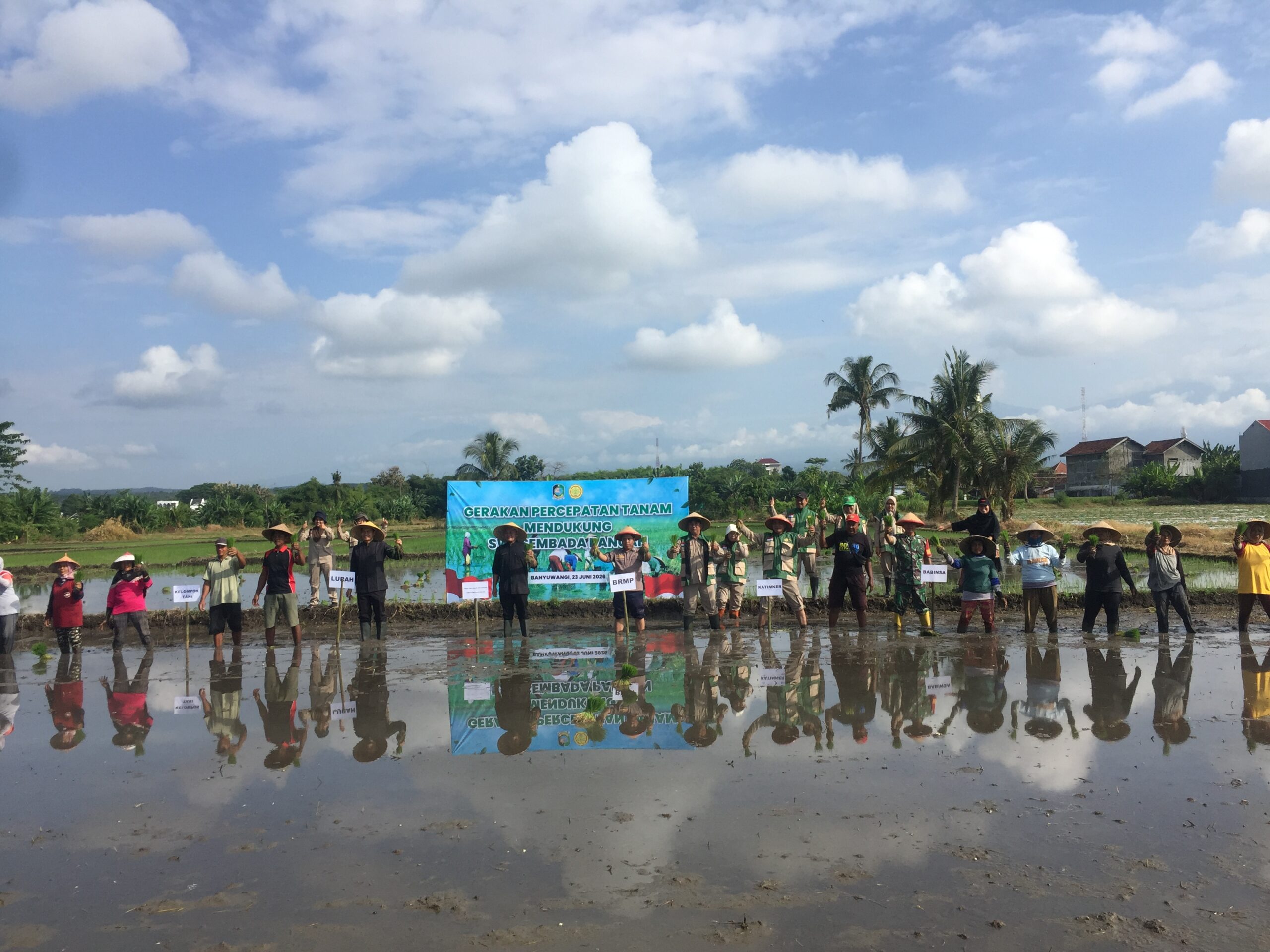 Babinsa Turun ke Sawah, Program Percepatan Tanam di Sobo Jadi Sorotan Dukung Swasembada Pangan